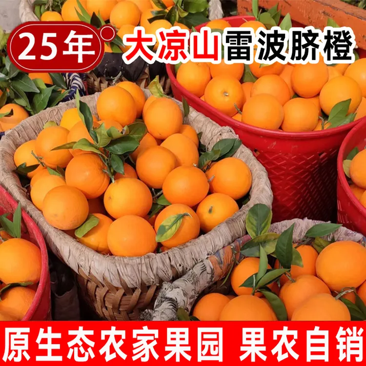 雷波脐橙大凉山雷波脐橙纽荷尔当季特级新鲜水果薄皮整箱产地直发