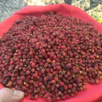 1【红-D-杉】净含量：100-500g【小田现收】菌