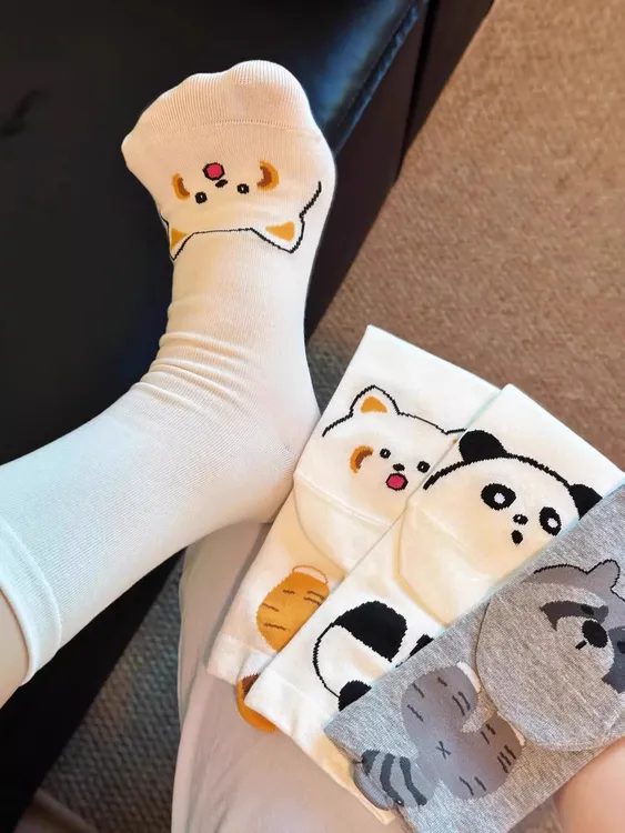 袜子女秋冬新款卡通小浣熊可爱抽象搞怪中筒ins潮精梳棉中筒袜