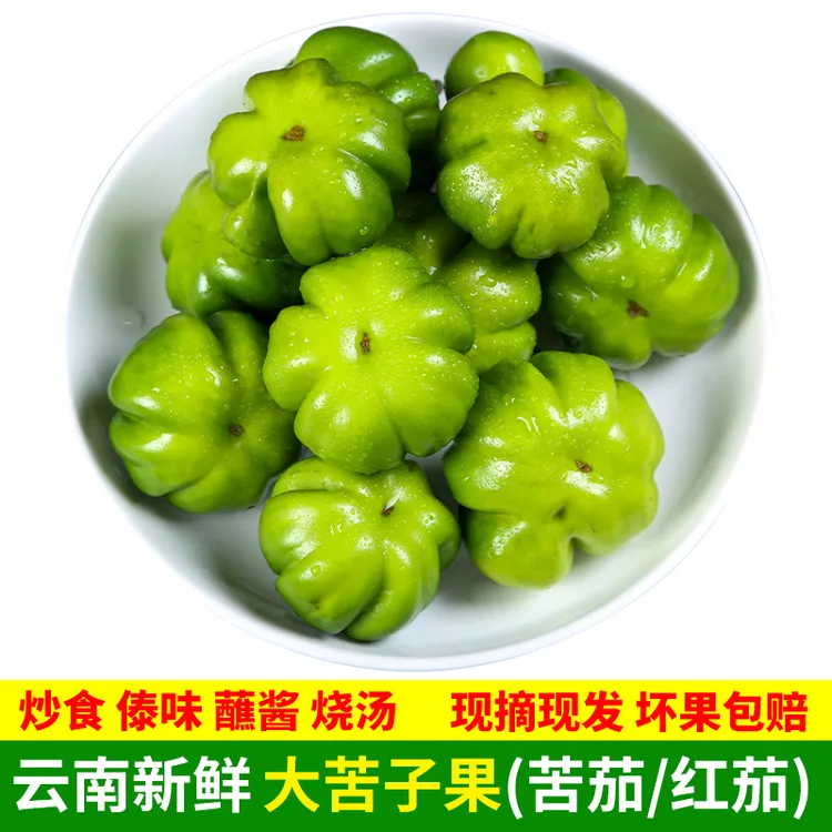 苦子果云南野菜当季蔬菜新鲜食用腾冲洋苦茄子苦味德宏特产傣味