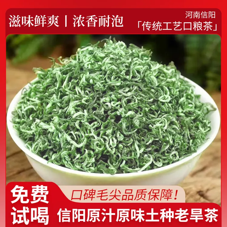2025年信阳绿茶毛尖口粮新茶土种云雾老旱茶滋味鲜爽浓香耐泡MJ01