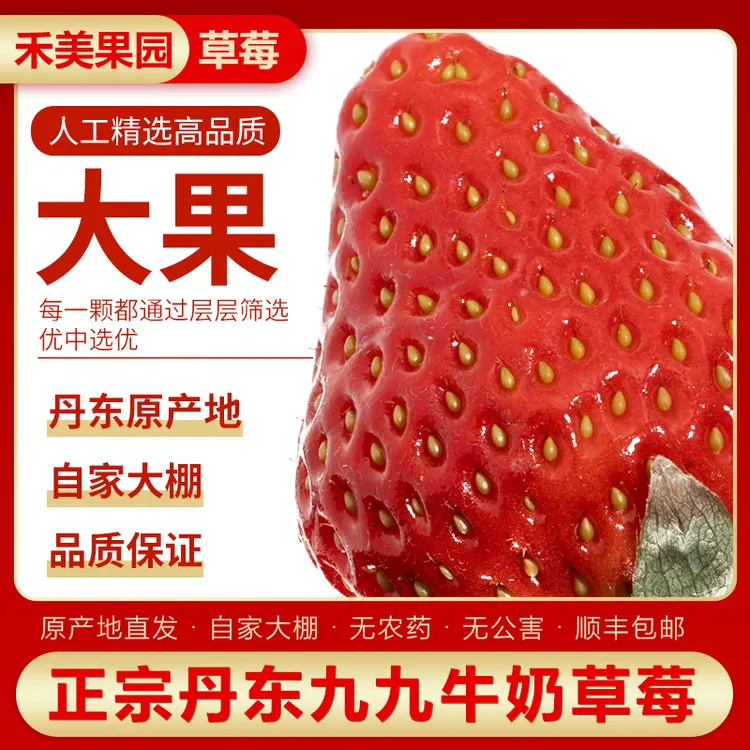 逢喜季【大大果】丹东九九草莓红颜东港产地直发顺丰空运丹东99草莓商品图