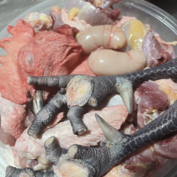 农家散养大公鸡包邮新鲜现杀肉质鲜嫩鸡肉土鸡散养土鸡