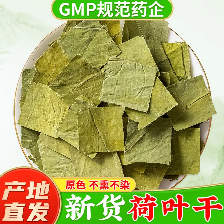 新货荷叶片正品 野生新鲜荷叶干可配荷叶茶荷叶陈皮山楂茶