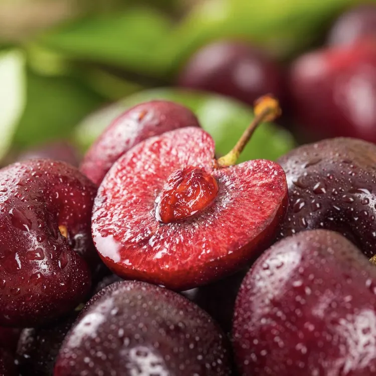 【热卖】智利进口海运桑提娜大果2JD车厘子脆甜爽口内附果径卡