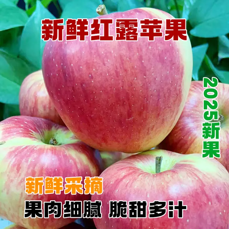 正宗云南昭通红富士冰糖心丑苹果新鲜高山产地直发当季水果昭通