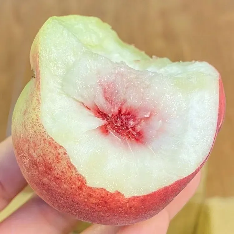 【正宗青州蜜桃】现摘新鲜桃子秋桃水蜜桃毛桃脆甜多汁应季水果中秋