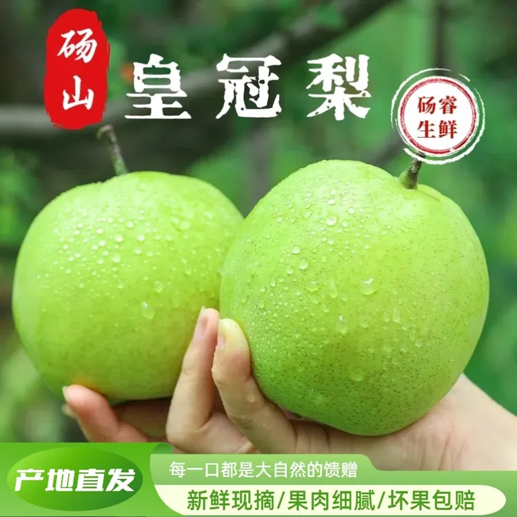 砀山皇冠梨新鲜水果脆口清甜产地直发