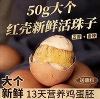 【红壳大蛋】五香香辣50-60g真空独立包装开袋即食整箱发货批发首选