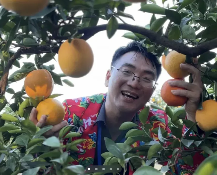 甜纽荷尔宜章脐橙新鲜水果自然采摘10斤装精品A果