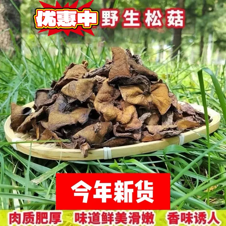 沂蒙山松菇松蘑菇干货野生菌山蛾子粘团子蘑菇炖鸡料野生山货特产