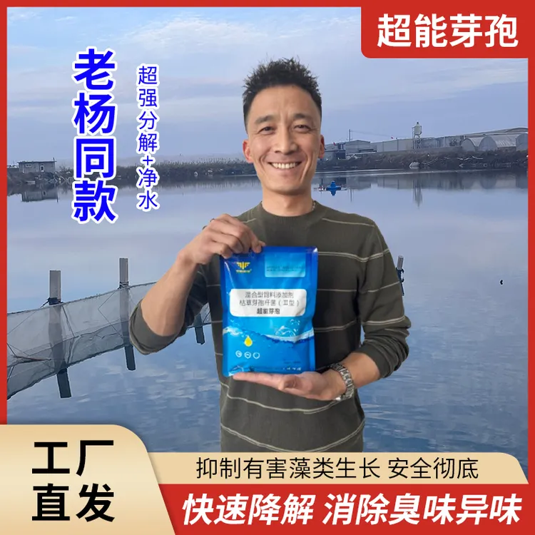 中际联盟老杨同款超能芽孢杆菌超强分解改良水质抑制藻类