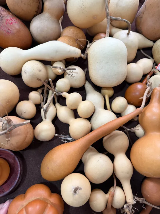 手把件文玩葫芦直播间一物一图