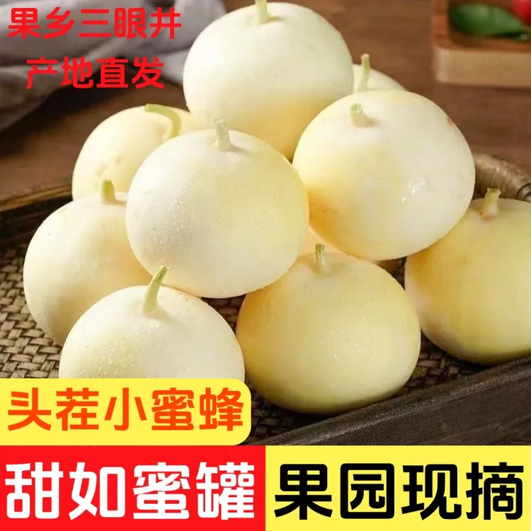 【自产自销】正宗头茬小蜜蜂香瓜早甜脆小甜瓜蜜瓜星甜新鲜采摘整箱