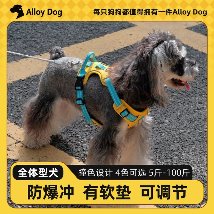 【5折尝新价】「小乖疯狂补贴，加赠牵引绳」卡通配色工字防爆冲胸背反光可调节