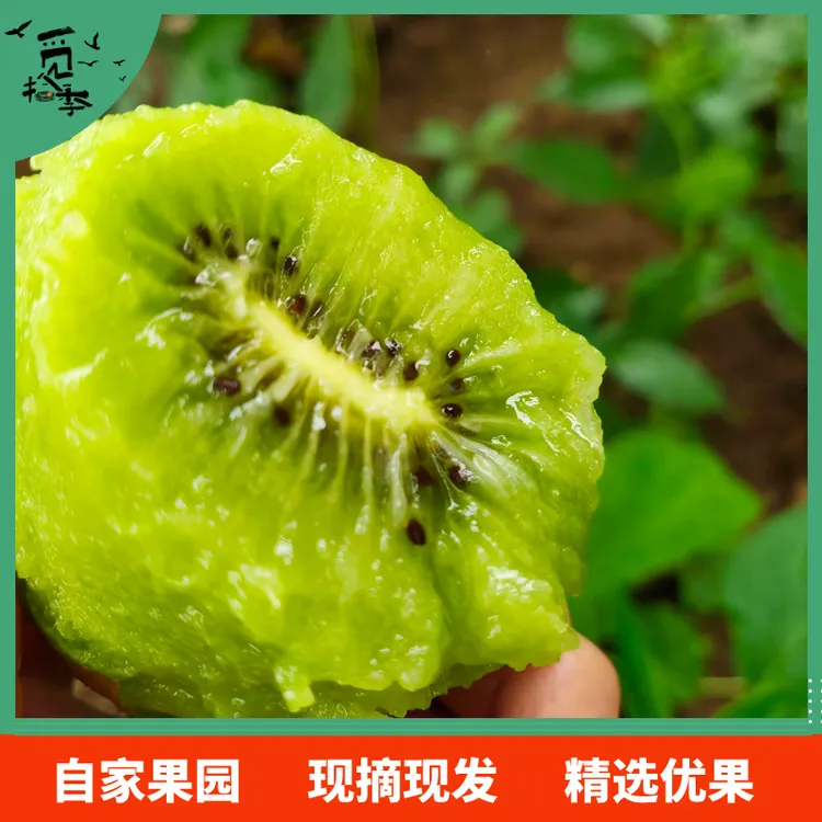 博山碧玉猕猴桃新鲜应季采摘无毛绿心皮薄山泉灌溉鲜甜多汁