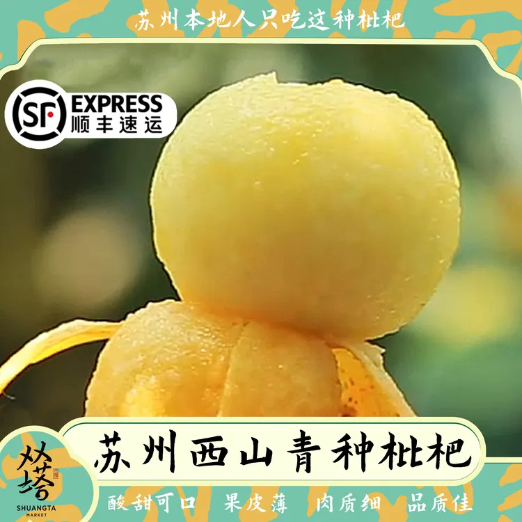 苏州西山青种枇杷新鲜现采超甜可口当季水果本地特产礼盒包装