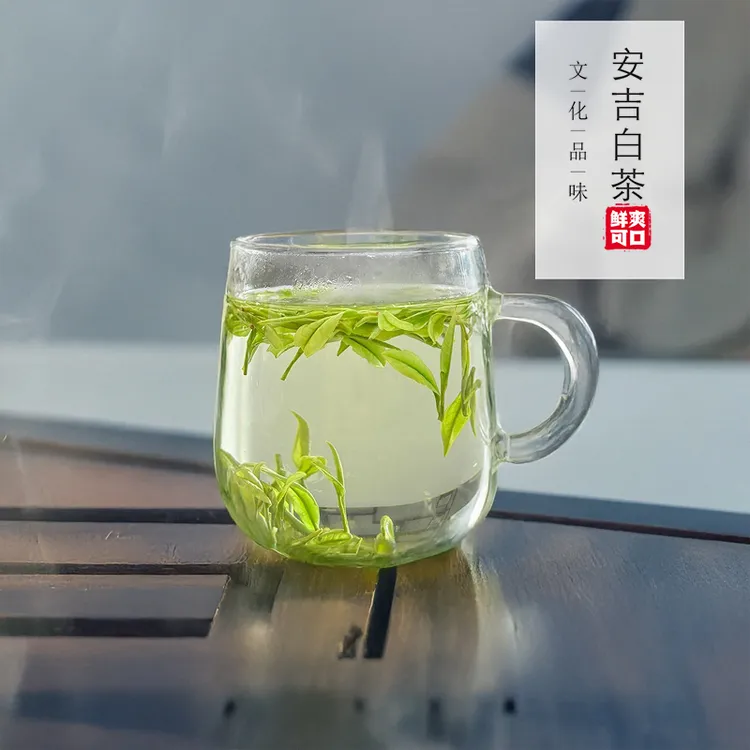 溪龙安吉白茶春天一号 A92高山云雾茶白茶绿茶特产白茶回甘高山茶