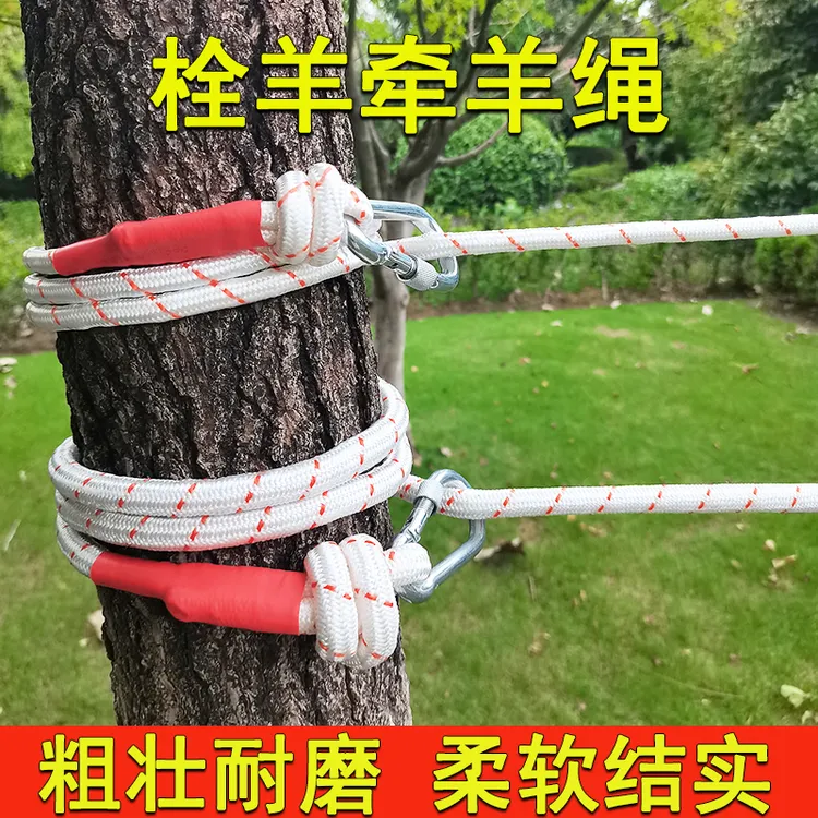 栓羊专用绳栓牛绳加粗耐磨捆绑绳栓羊脖套绳子养殖用品牵羊缰绳套