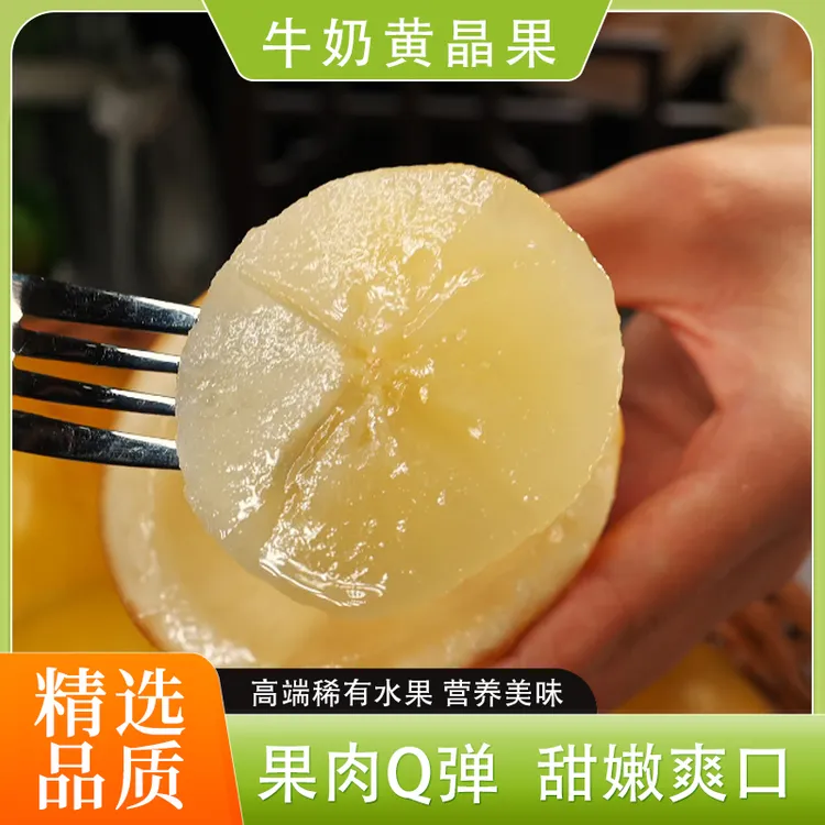 【京东特快】广东牛奶黄晶果稀有高端水果新鲜果园现摘现发1斤起