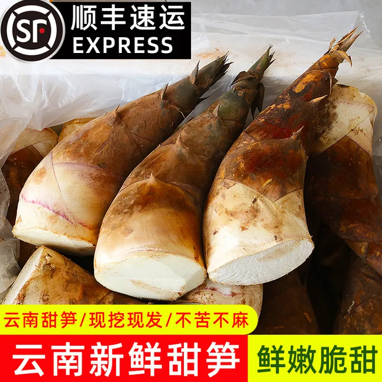 【顺丰速运】云南新鲜甜龙笋现挖竹笋可以生吃水果竹笋鲜嫩笋头蔬菜