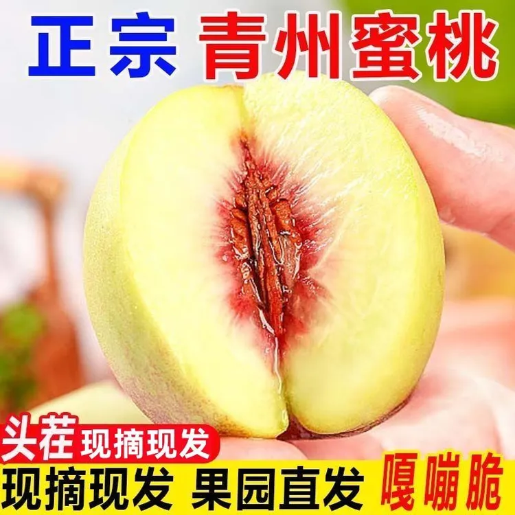 山东青州脆蜜桃红心离核脆甜多汁新鲜应季水果现摘现发批发