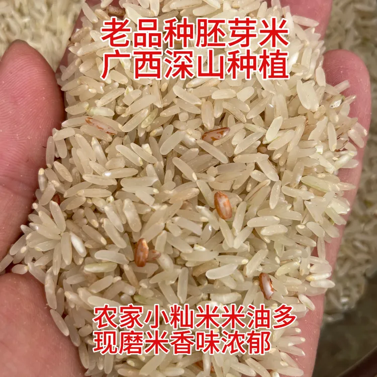25年新米广西老品种胚芽米米油多软香不抛光小籼米宝宝米农家香米