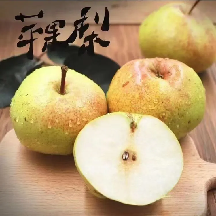 正宗延边三合苹果梨东北酸甜多汁口感细腻张升民