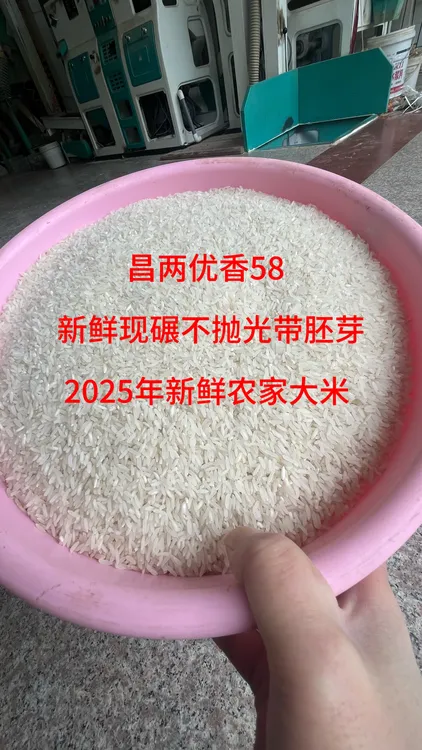昌两优香58新鲜现碾农家大米不抛光带胚芽