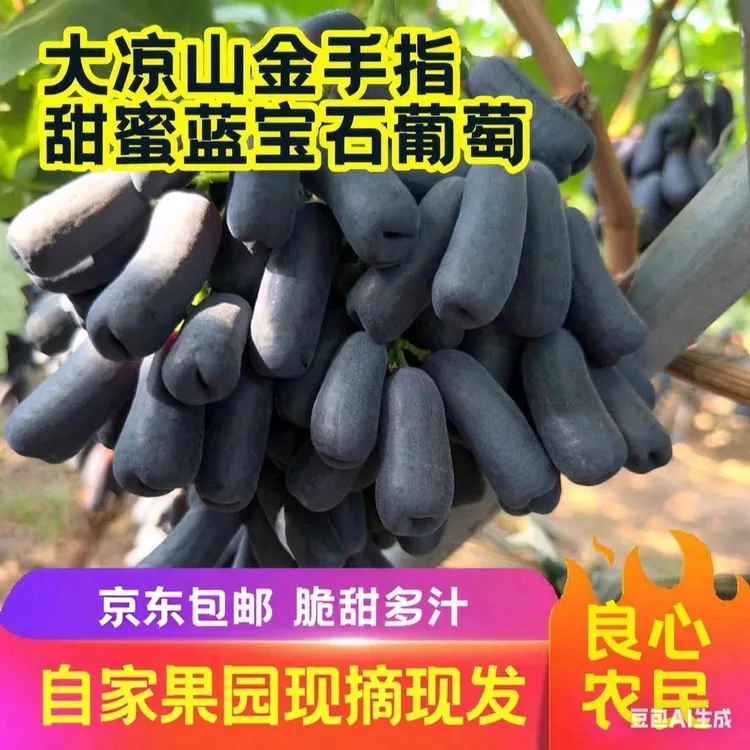 金手指甜蜜蓝宝石葡萄脆甜多汁良心农户现摘现发京东包邮烂果包赔