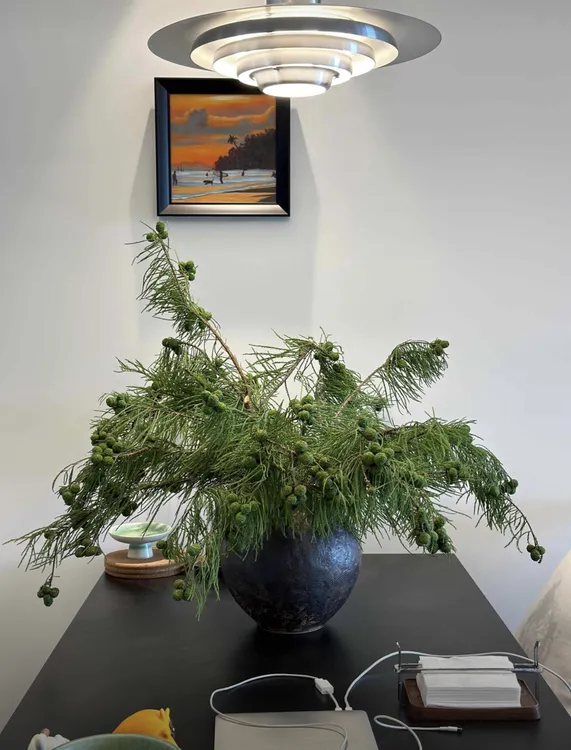 【拾忆花坊】落羽杉客厅花材干花运输过程中少量掉果是正常现象