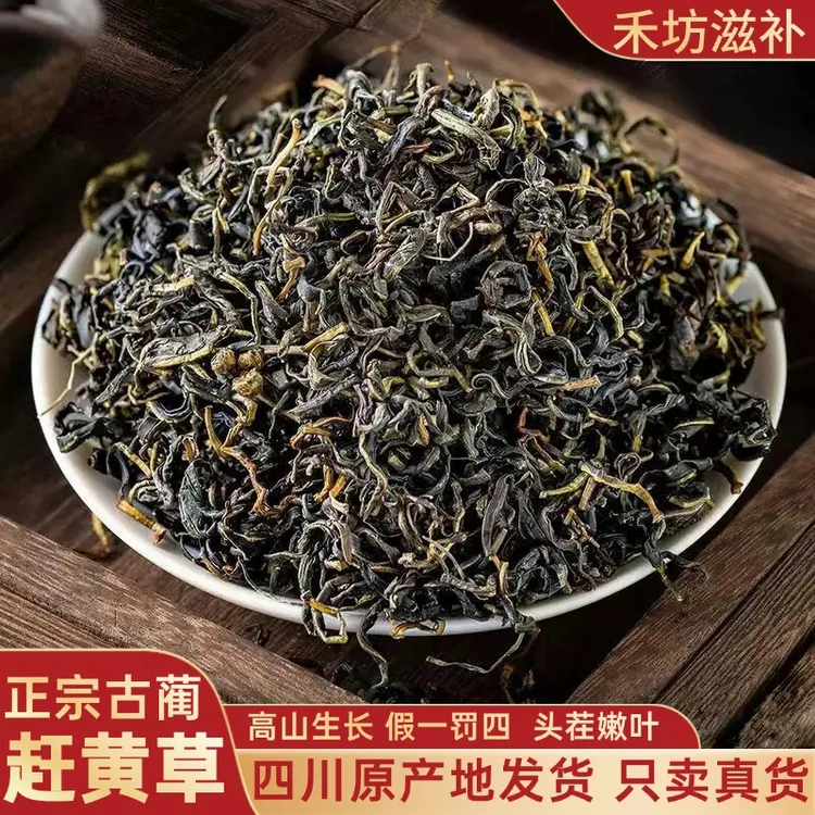 【正品】正宗四川古蔺赶黄草头茬搭配决明子茶泡水煮水喝 工厂直发