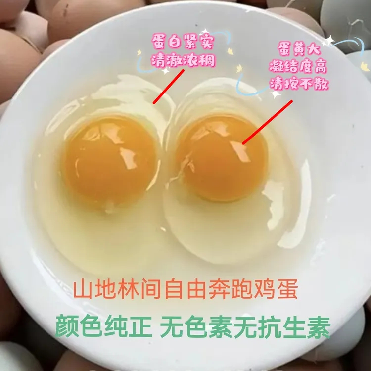 贵州正宗野菜虫虫婆婆胖妹自由散养土鸡蛋农家散养新鲜柴鸡蛋