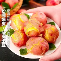 【现挖现发】2025年云南红皮黄心小土豆皮薄农家自种新鲜美味马铃薯