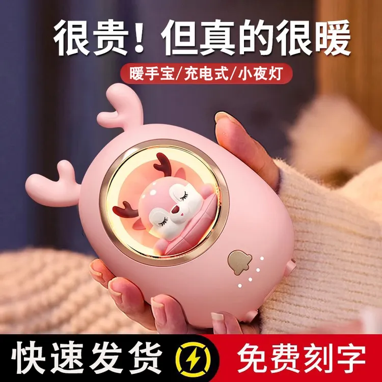 2025新款可爱宠萌暖手宝充电暖宝宝女生生日礼物神器二合一热水袋