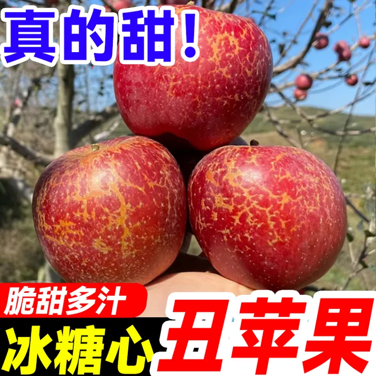 【9斤装红露苹果】云南昭通冰糖心水果新鲜丑苹果红富士整箱包邮