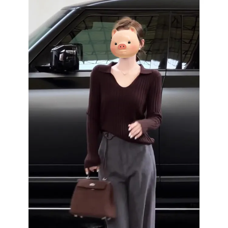 法式翻领咖色套头毛衣女秋冬季慵懒风内搭针织衫独特漂亮早秋上衣