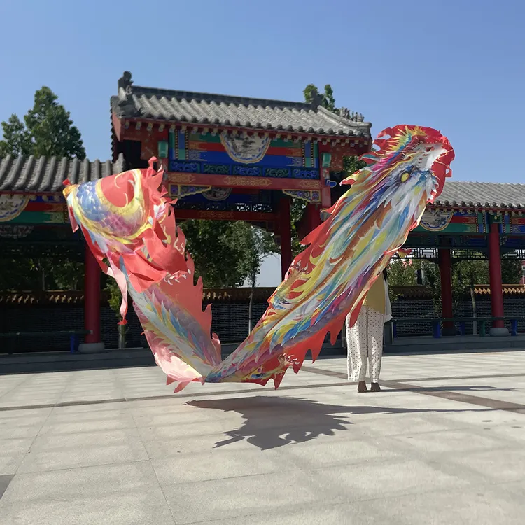 格曼新款8米酷炫龙彩绸舞龙专用单独龙衣