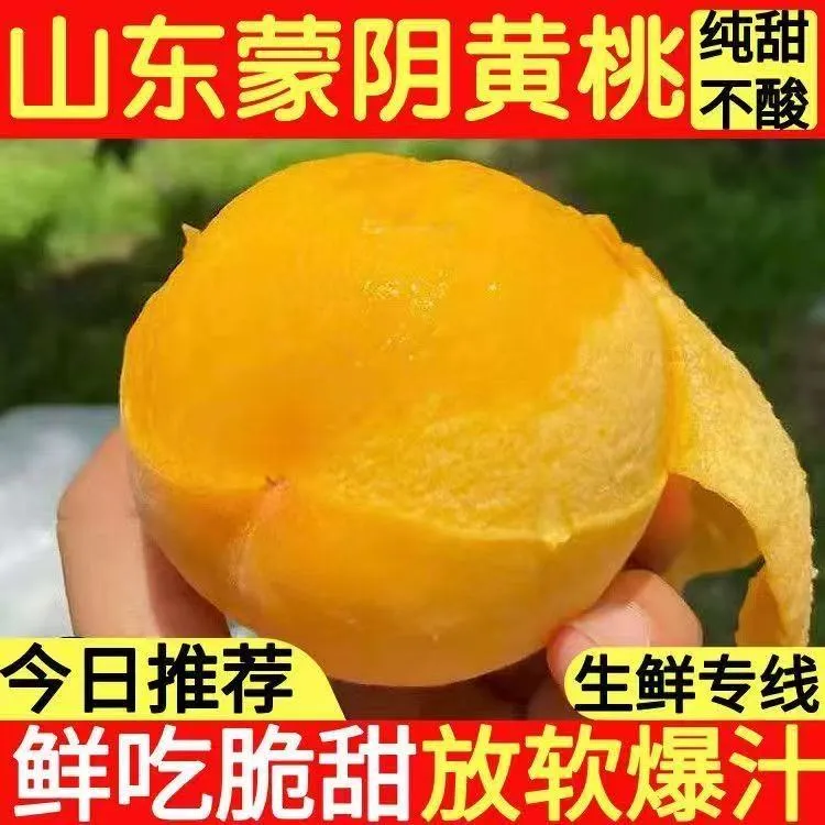 （兰兰专属）山东蒙阴新鲜黄金蜜桃黄毛桃现摘现发纯甜无酸