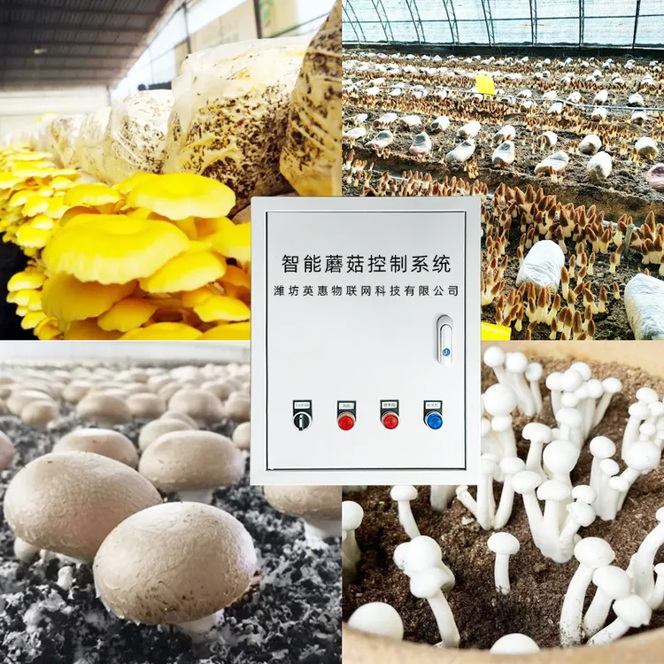 联堡科技食用菌温湿度光照远程控制智能蘑菇房种植控制系统