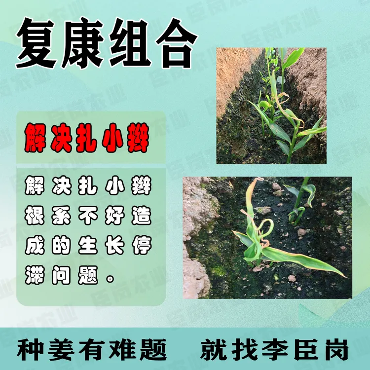 复康组合叶喷系列，一组六桶水。
