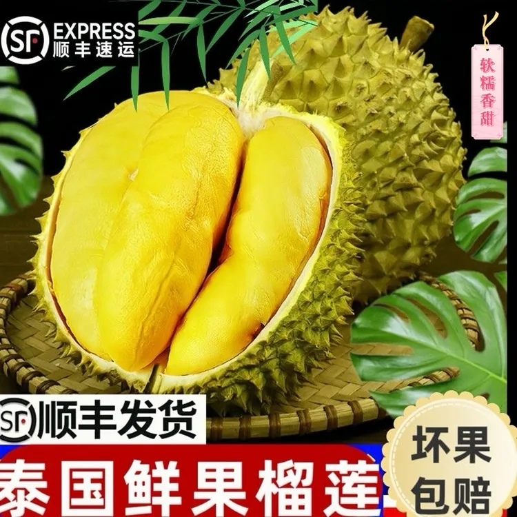 【现货】榴莲泰国进口金枕A级整果 新鲜水果软糯香甜坏果包赔顺丰