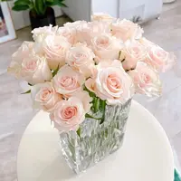 【源头优选】辛西娅单头玫瑰任意2单鲜花包邮发货后不支持退款