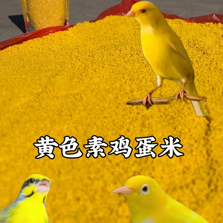黄色素鸡蛋米【上色快】