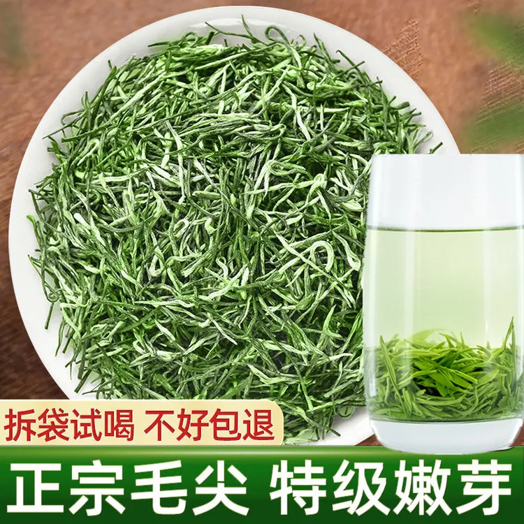 栗香信阳毛尖绿茶2025新茶浓香型耐泡正宗高山明前嫩芽茶叶口粮茶