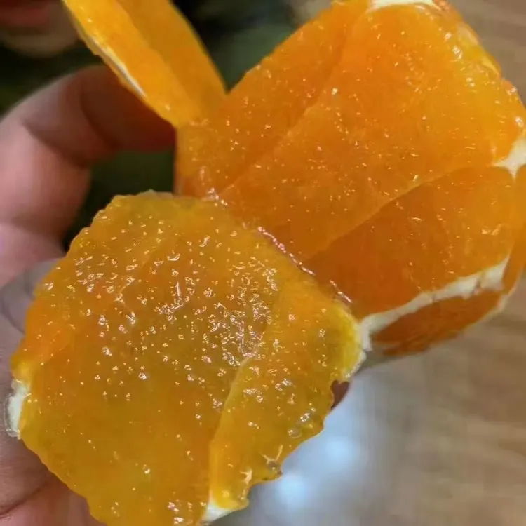 正宗奉节脐橙自家果园种植现摘现发