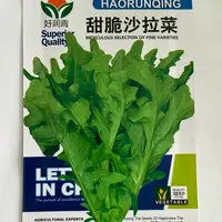 【五袋包邮】甜脆沙拉菜种子孔雀直立生菜阳台盆