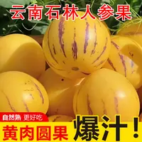 云南人参果新鲜圆果黄心清甜多汁应季水果当季水果