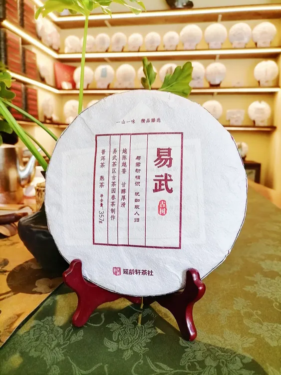 易武古树熟普七子饼特选原料香甜厚滑余韵悠长纯干仓古法压制