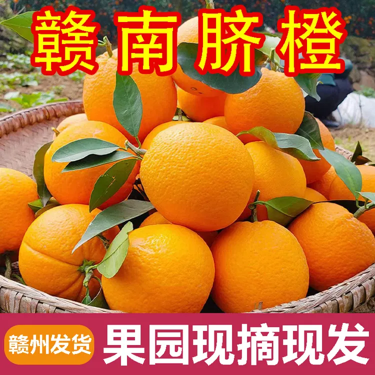 正宗江西当季赣南甜脐橙大果子新鲜水果产地直发果冻橙子皮薄多汁